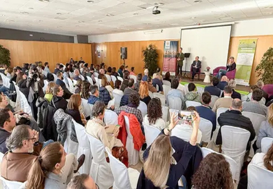Boletn Experimenta Vas Verdes